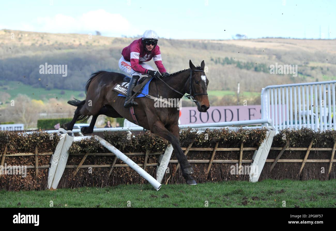 albert bartlett novices hurdle 0042