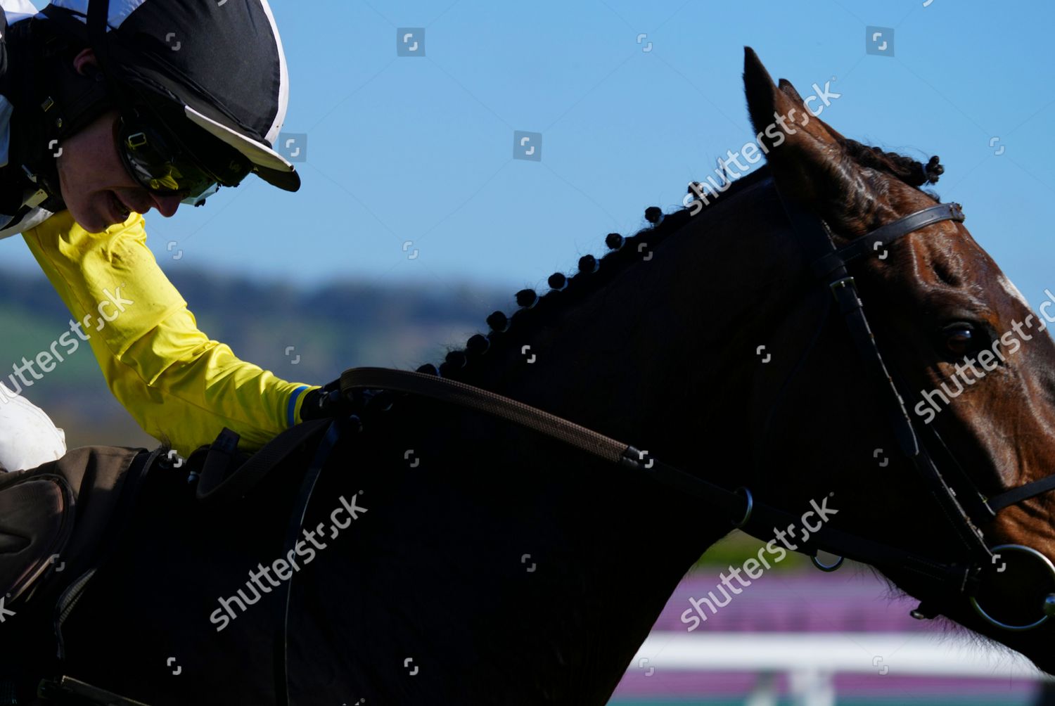 albert bartlett novices hurdle 0046