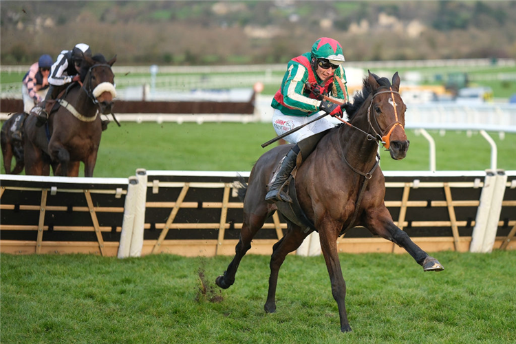albert bartlett novices hurdle 0047