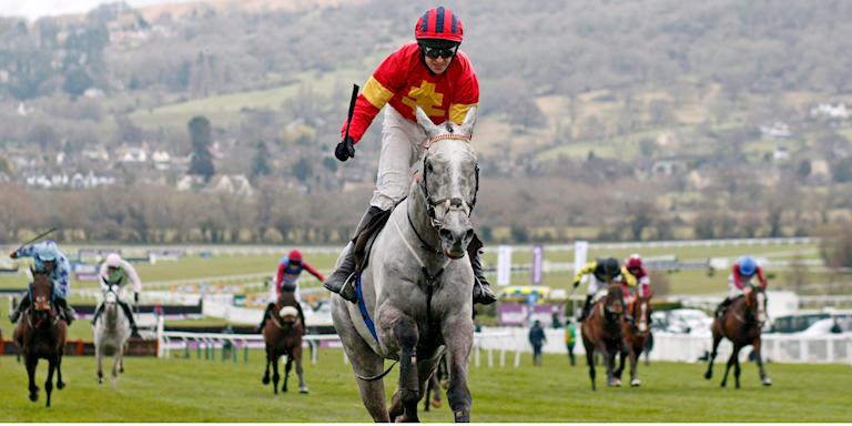 albert bartlett novices hurdle 0048