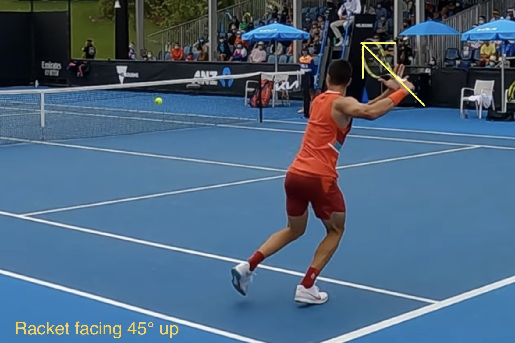 Alcaraz forehand comparison