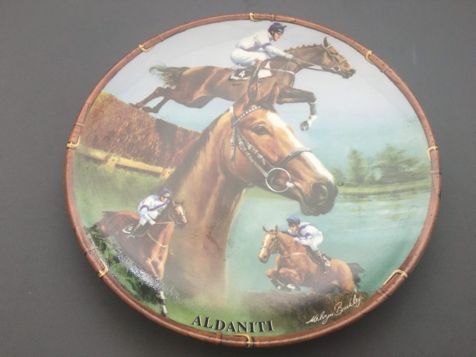aldaniti 0043