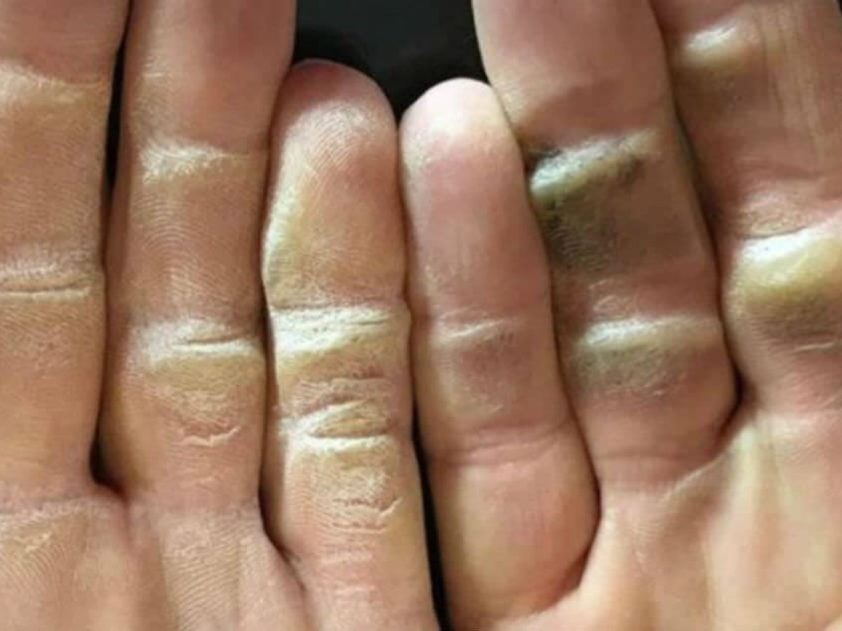 Alex Noren grip