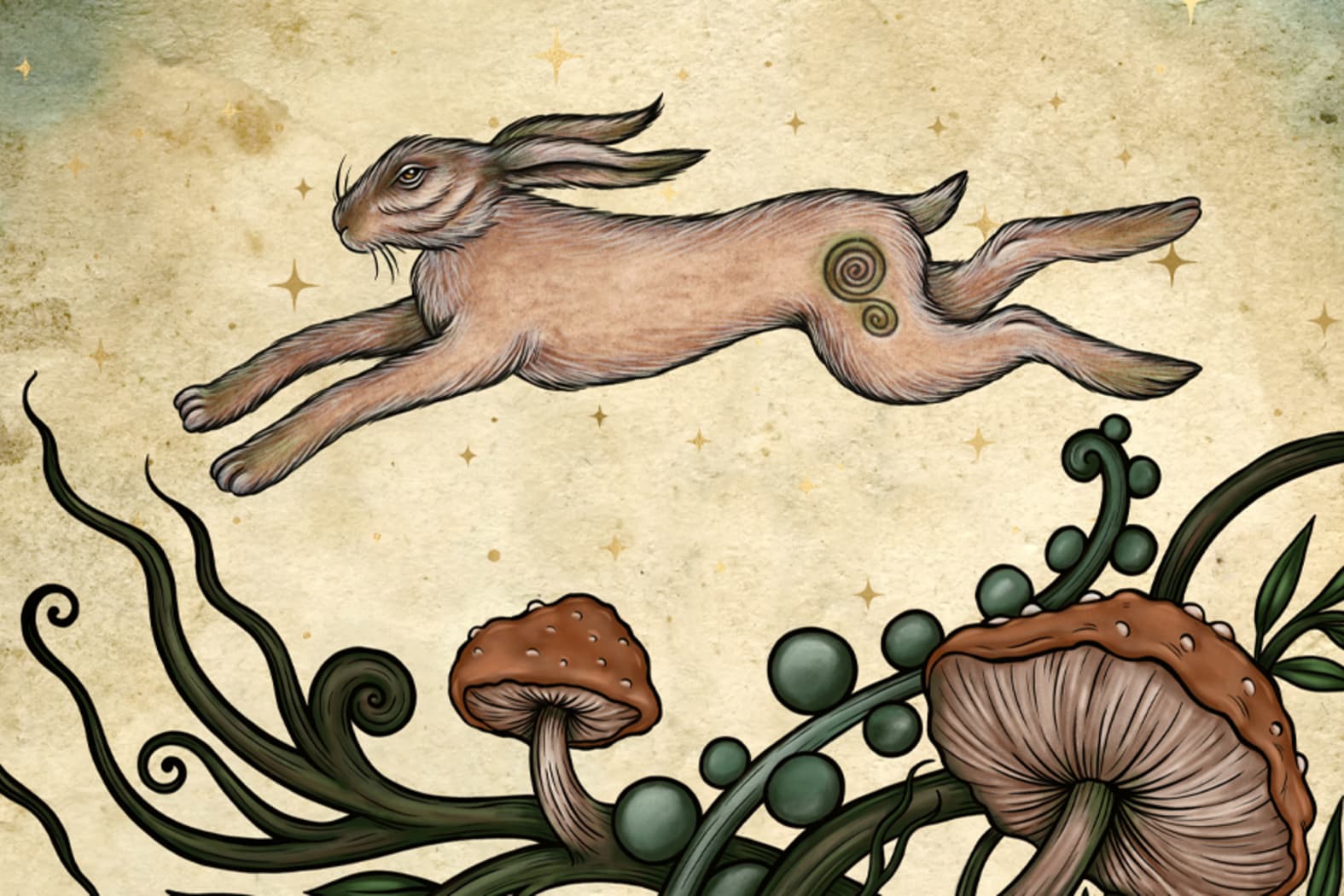 alfred rabbit dyer 0043
