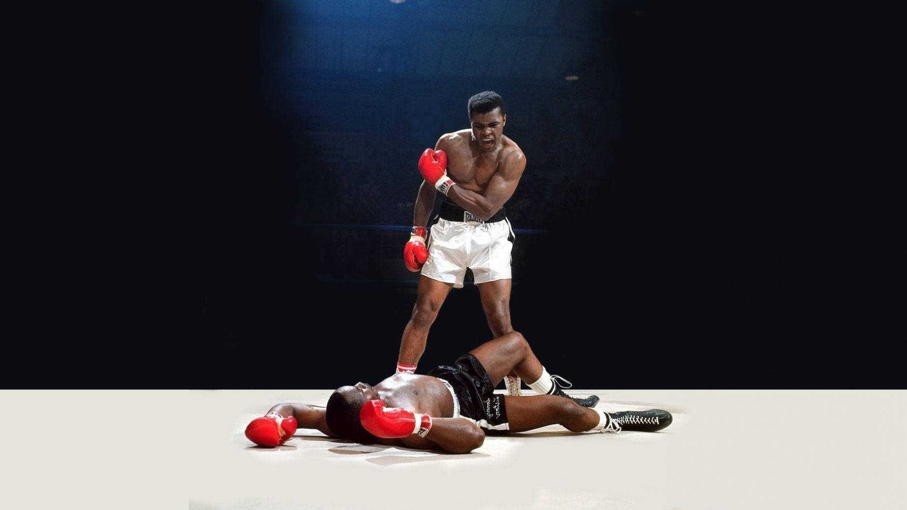 ali famous picture 0037