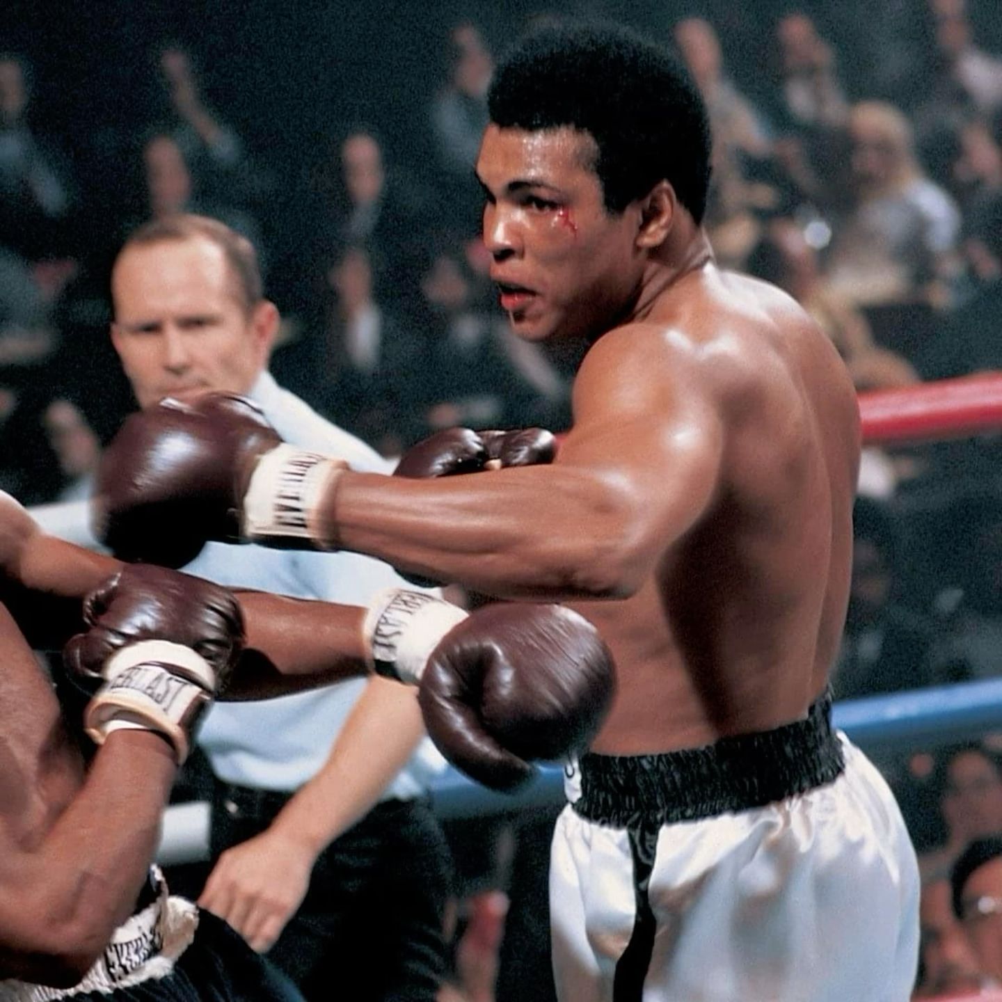 ali photo 0030