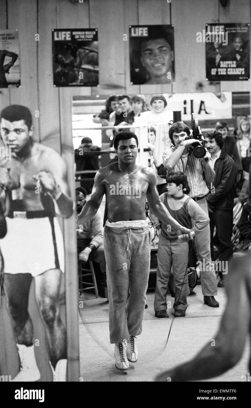 Ali training programs