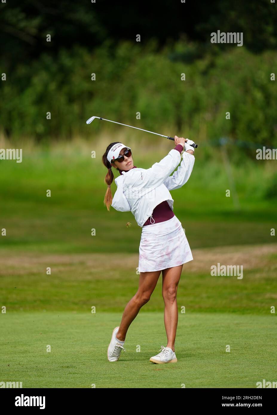 Alison Lee desktop background