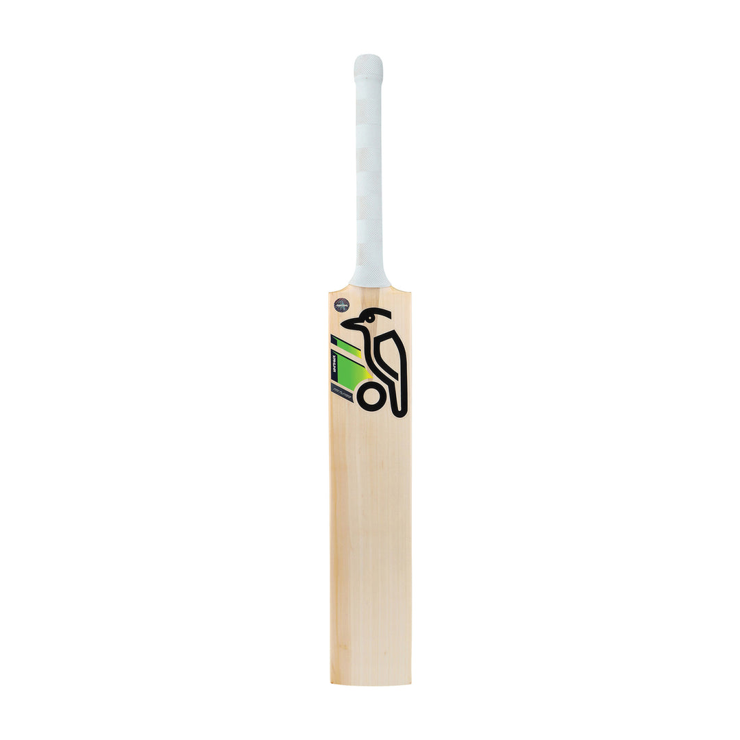 Alyssa Bat comparisons
