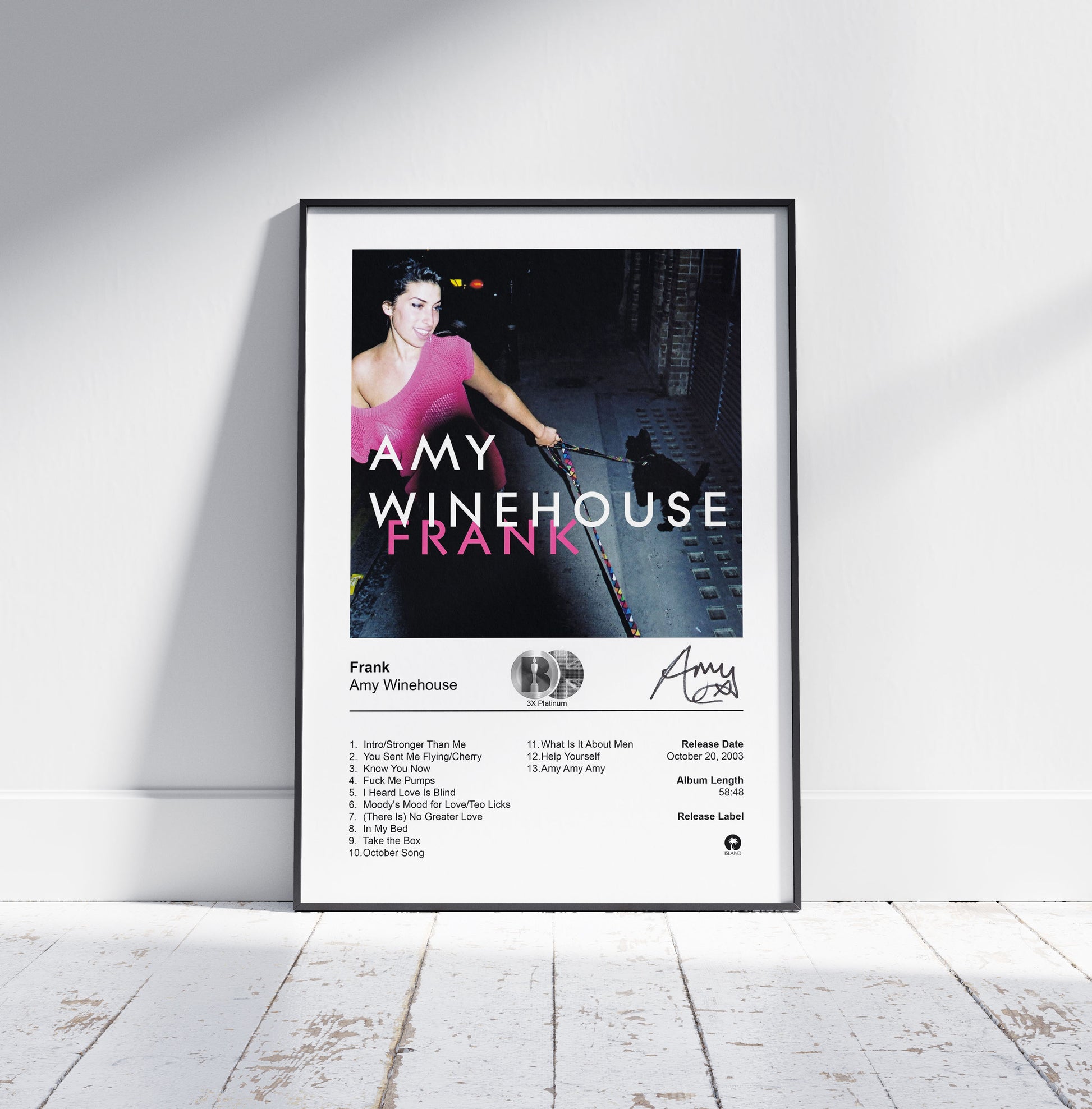 amy winehouse posters 0040