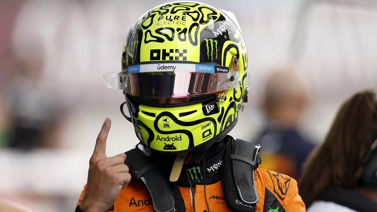 ando norris mercedes 0048