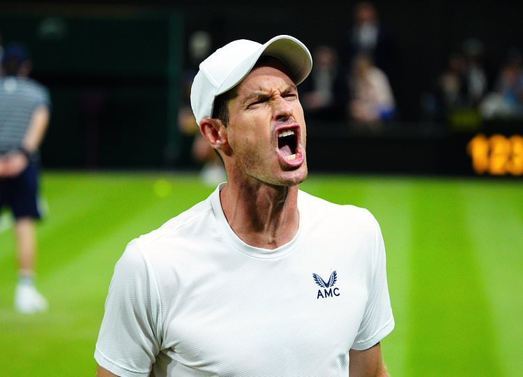 Andy Murray fan reactions