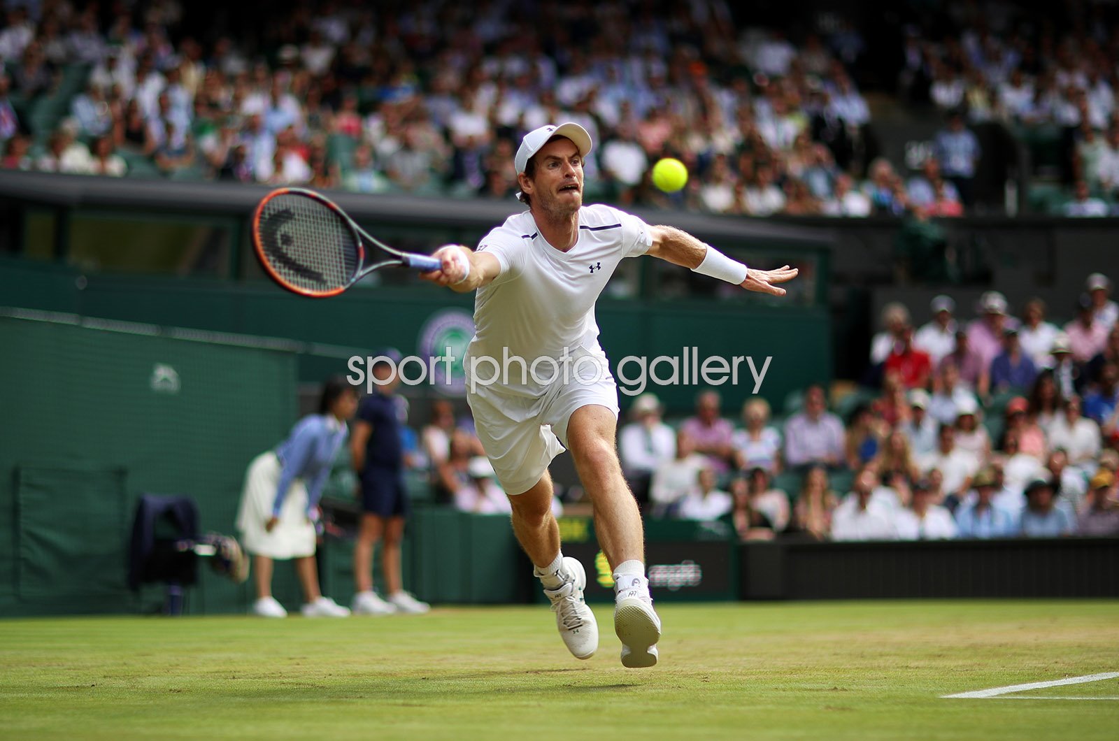 andy murray forehand 0023