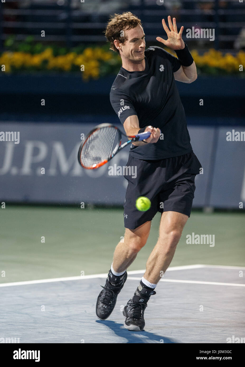 andy murray forehand 0049