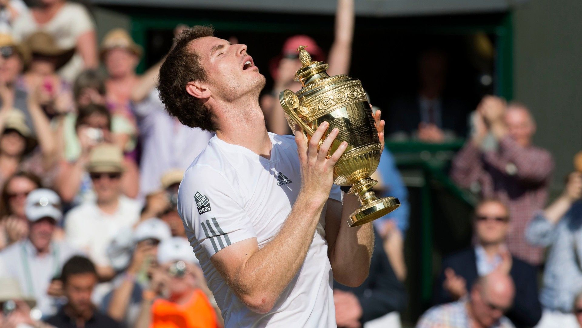 andy murray wimbledon 2023 0033