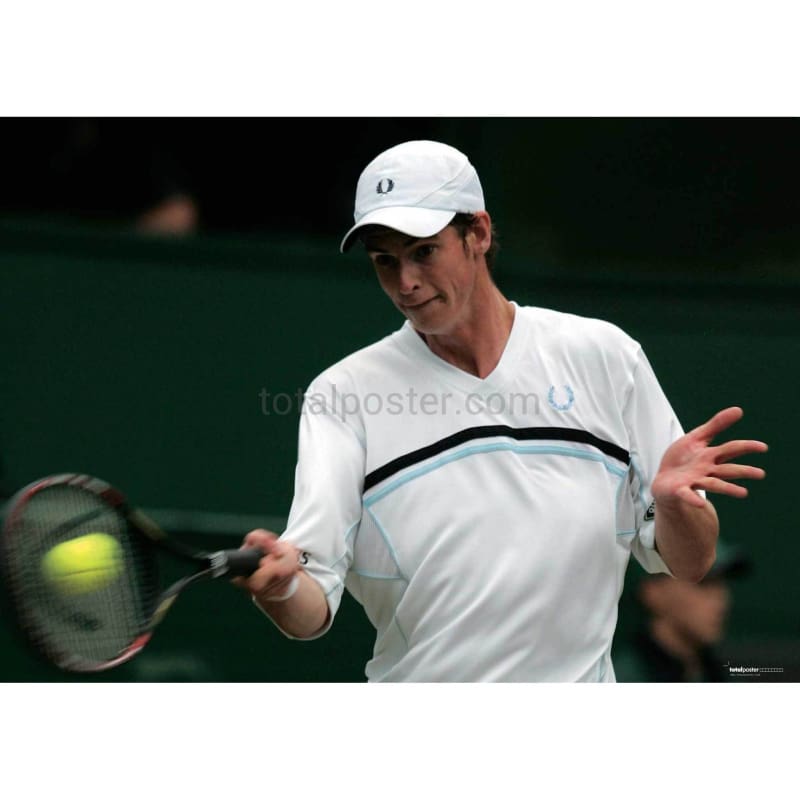 andy murray wimbledon poster 0012