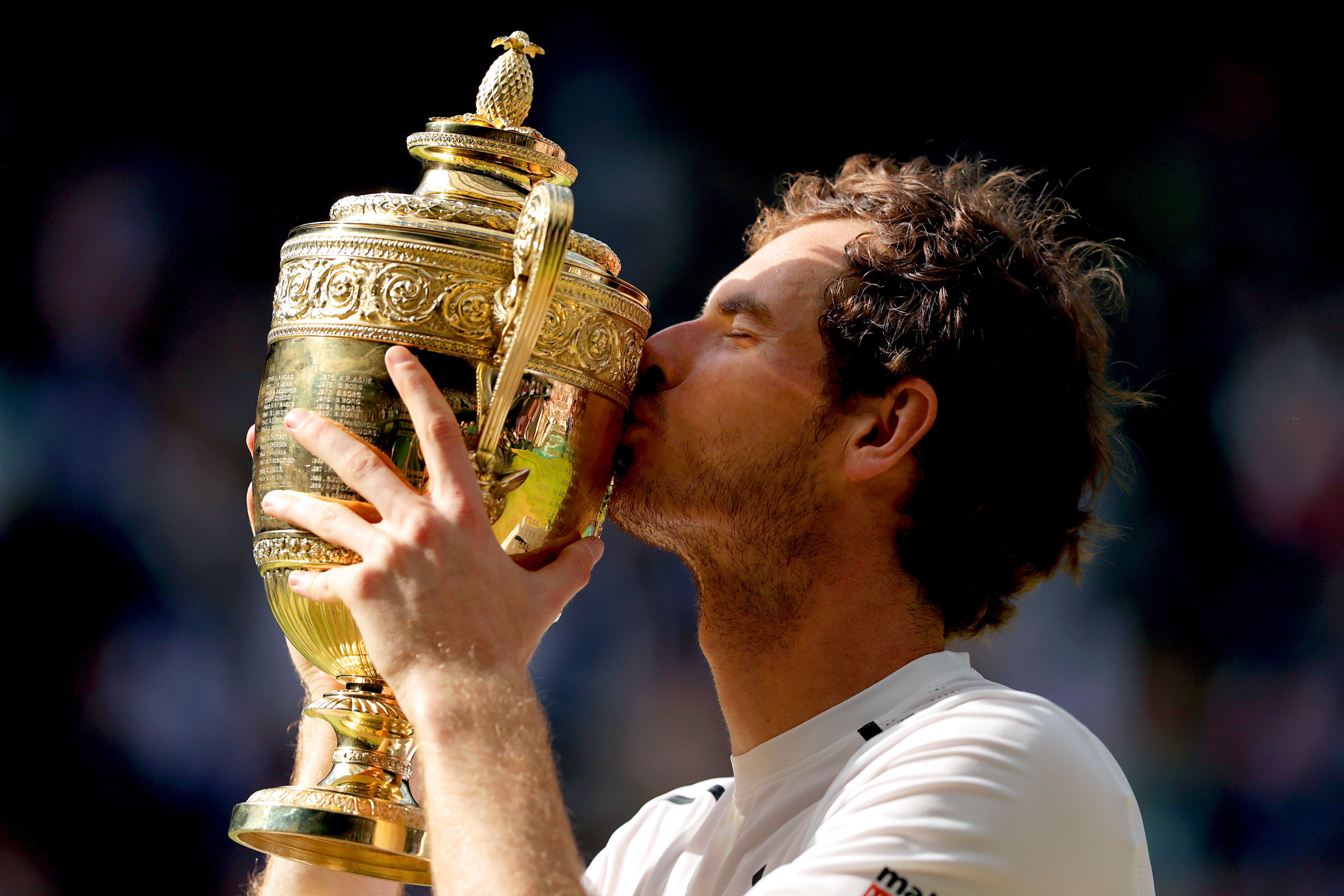 andy murray wimbledon poster 0022