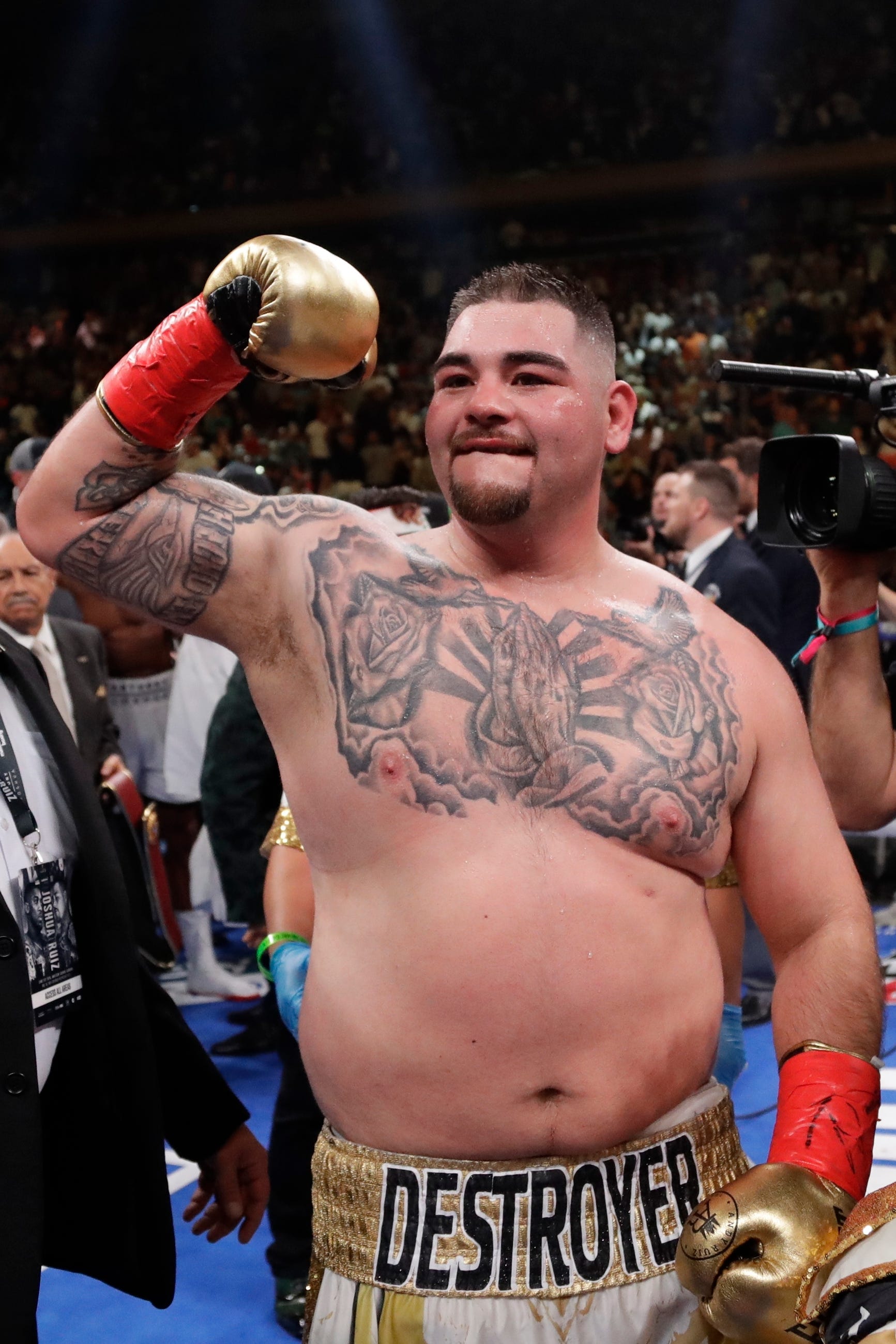 andy ruiz training photos