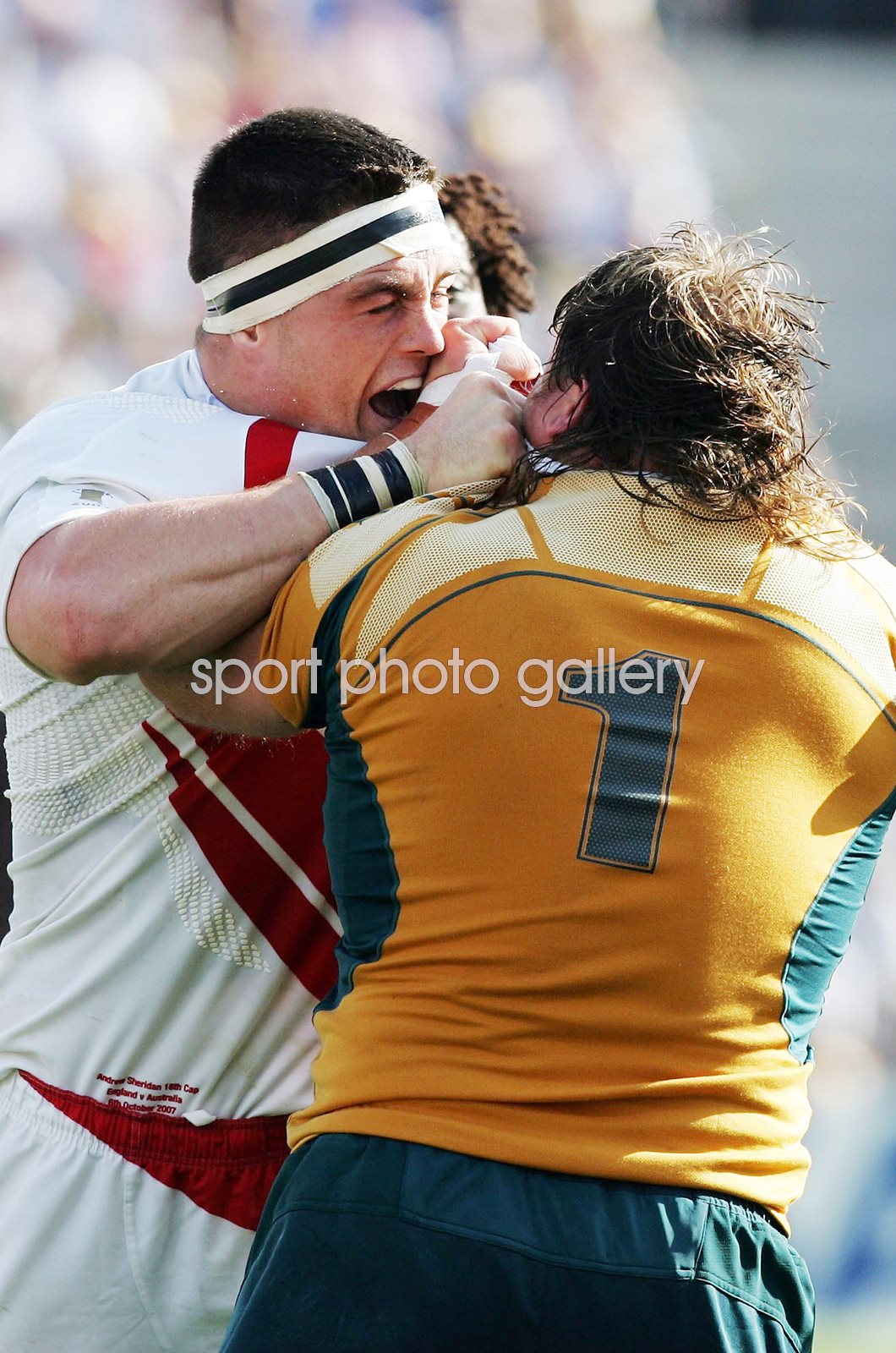andy sheridan 0011