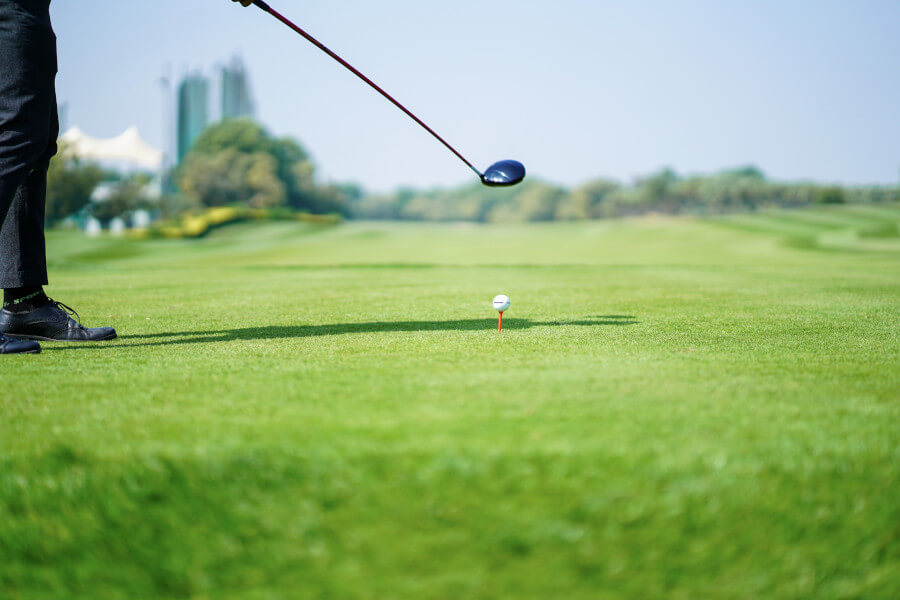 annika sorenstam swing sequence 0048