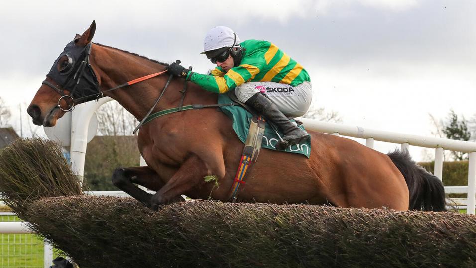 any second now horse highlights