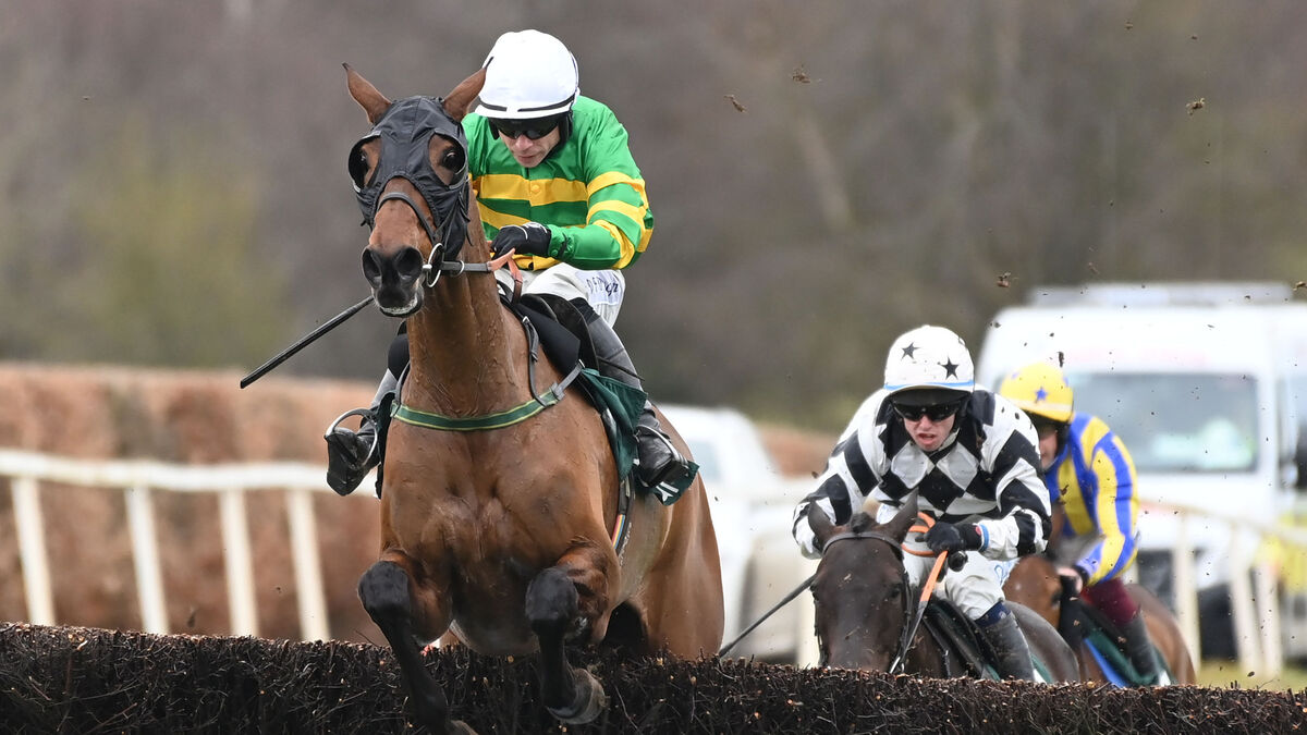 any second now horse odds