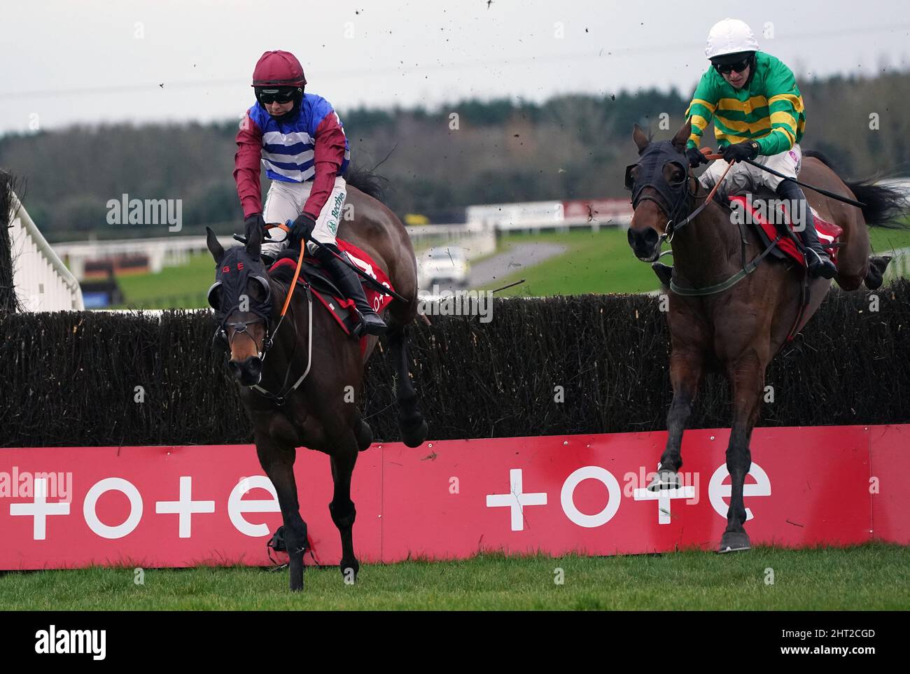 any second now horse pedigree