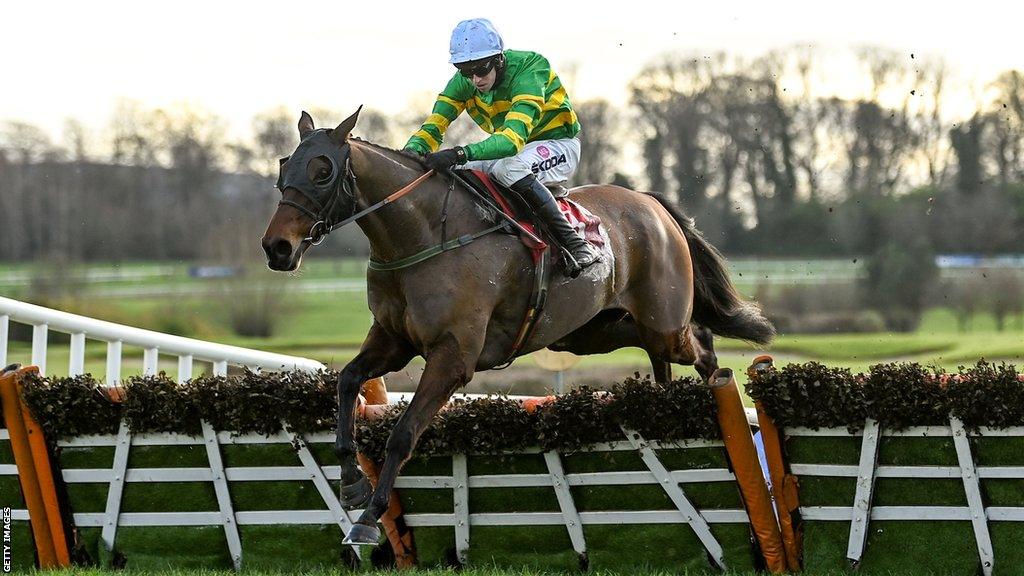 any second now horse trainer