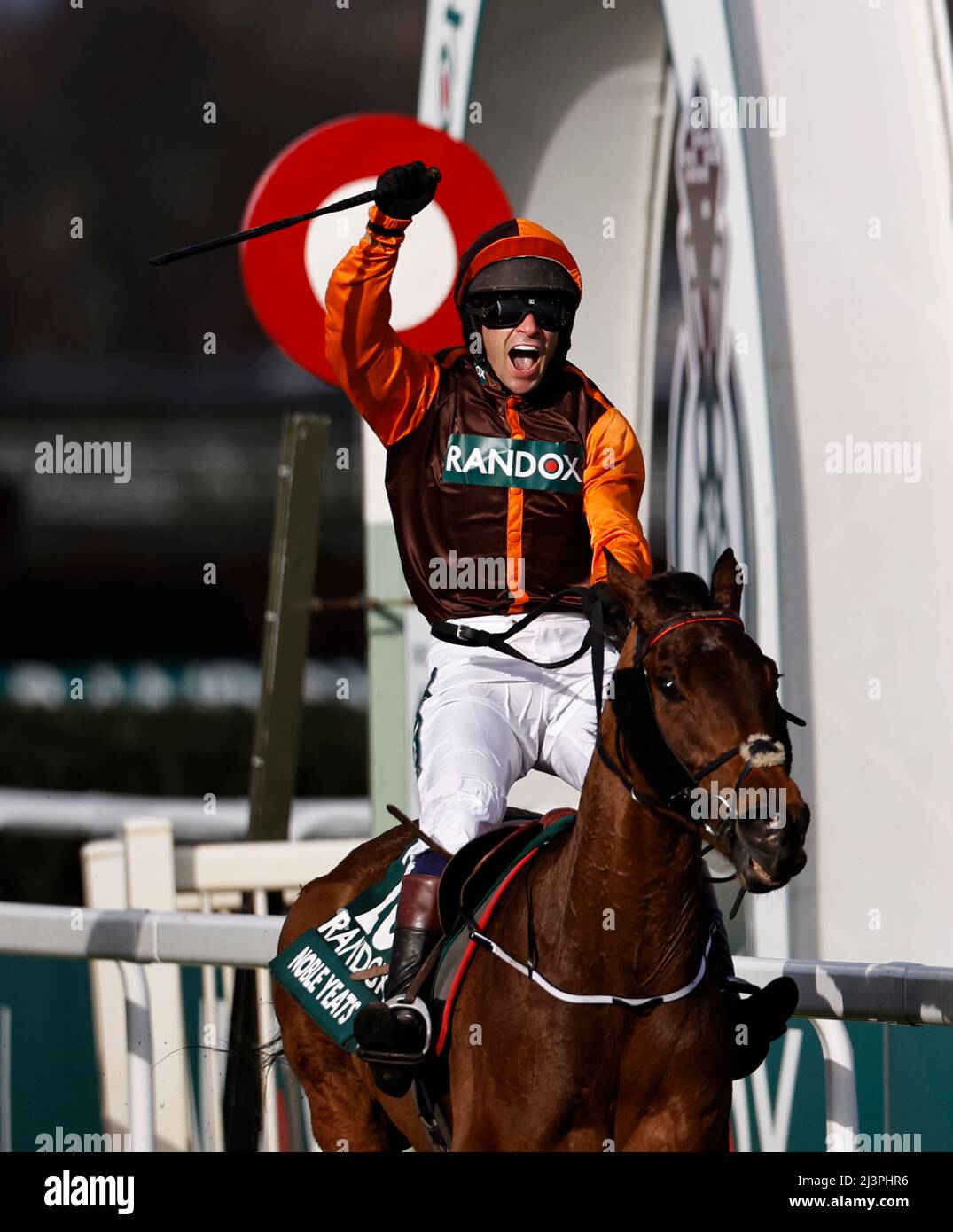 any second now horse 0010