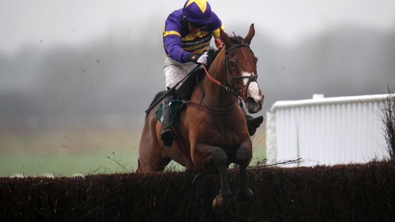 any second now horse 0021
