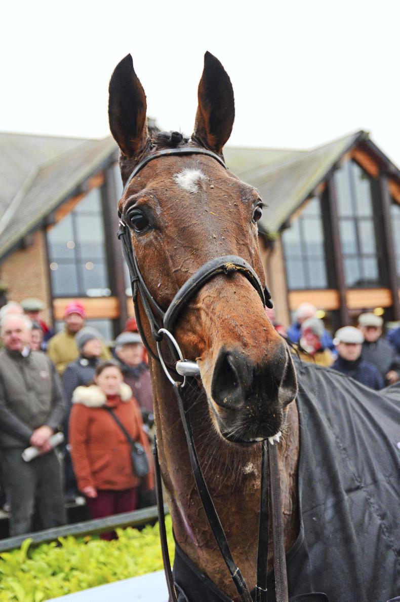 any second now horse 0023