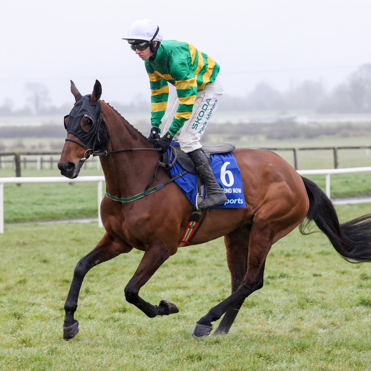 any second now horse 0027