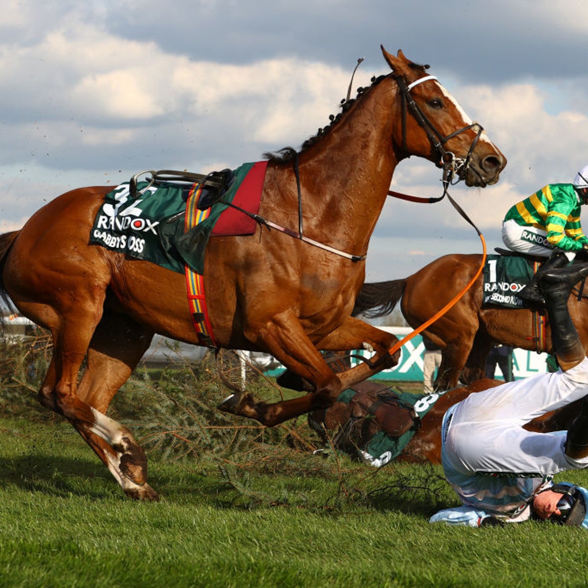 any second now horse 0034