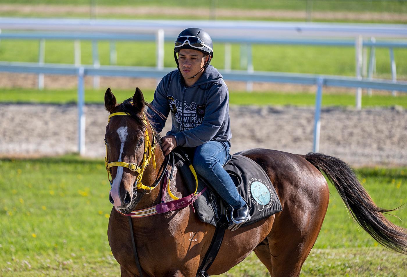 any second now horse 0036