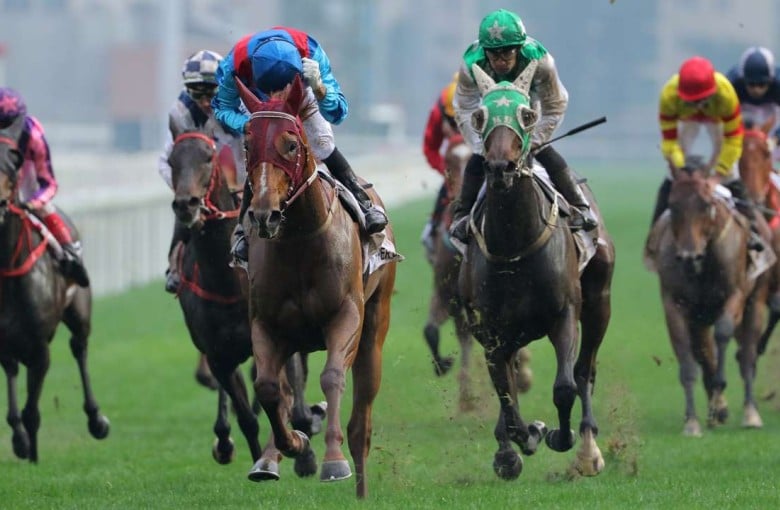 any second now horse 0043