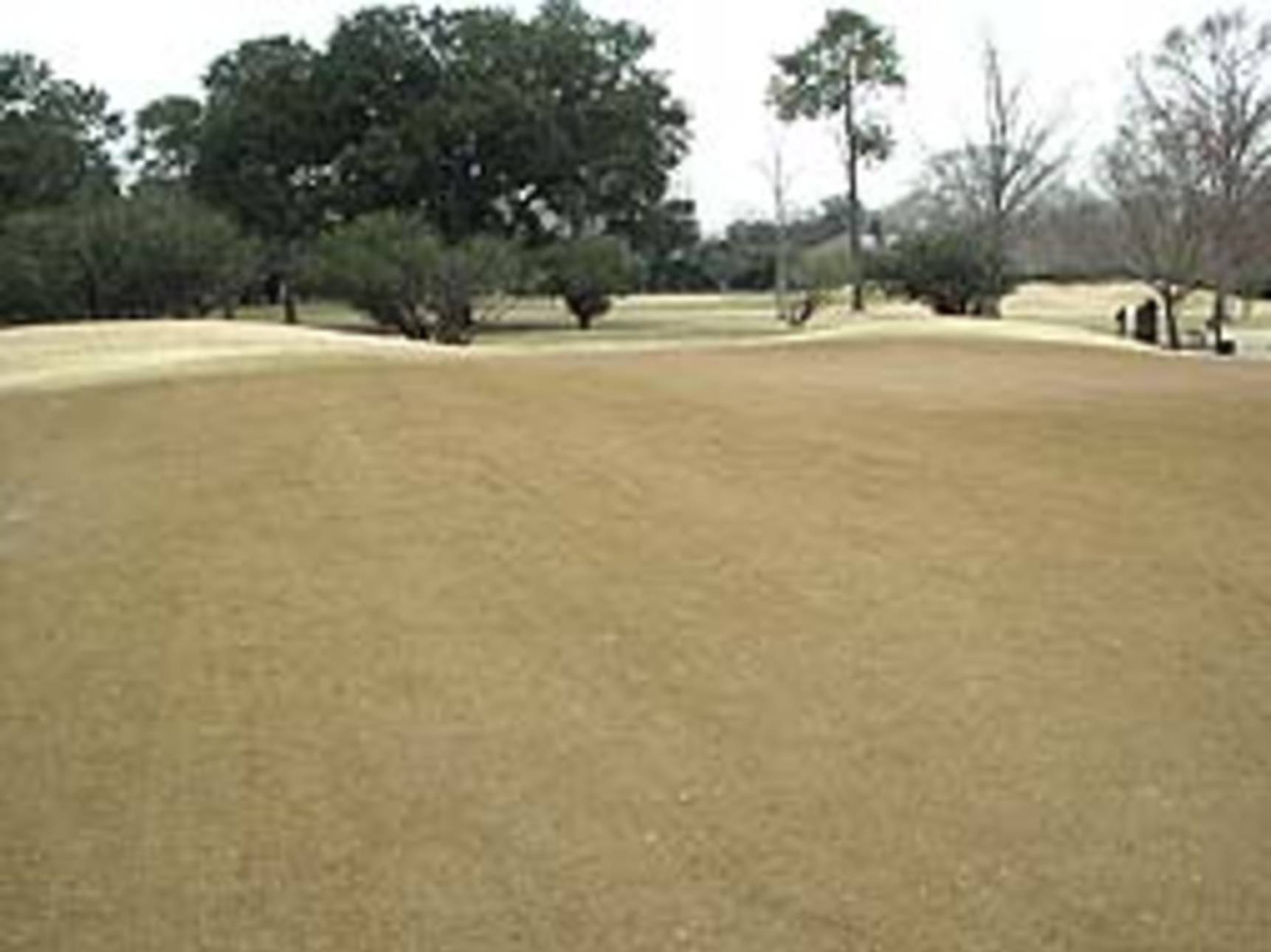 are golf courses open in the winter 0036