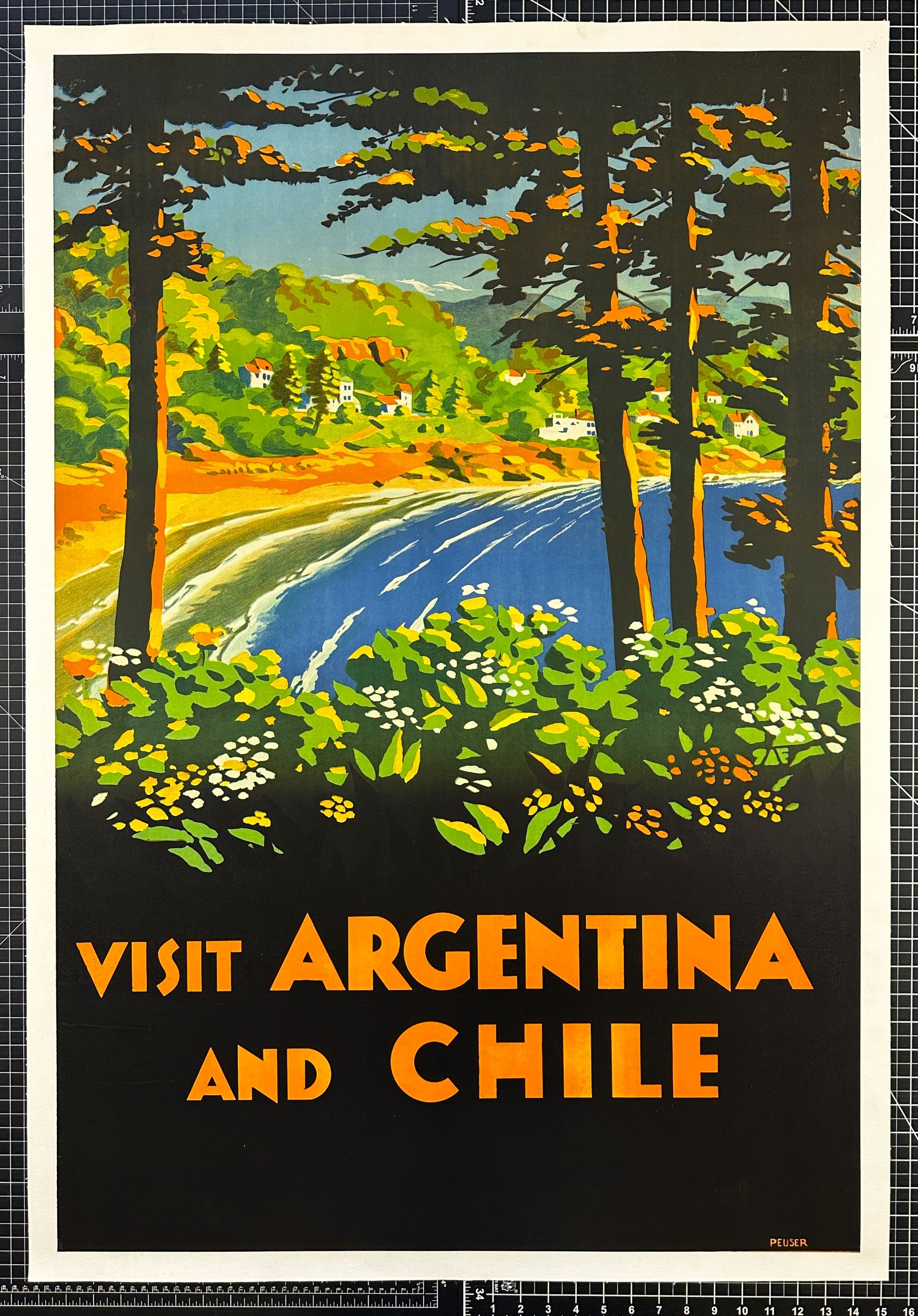 argentina sports decor