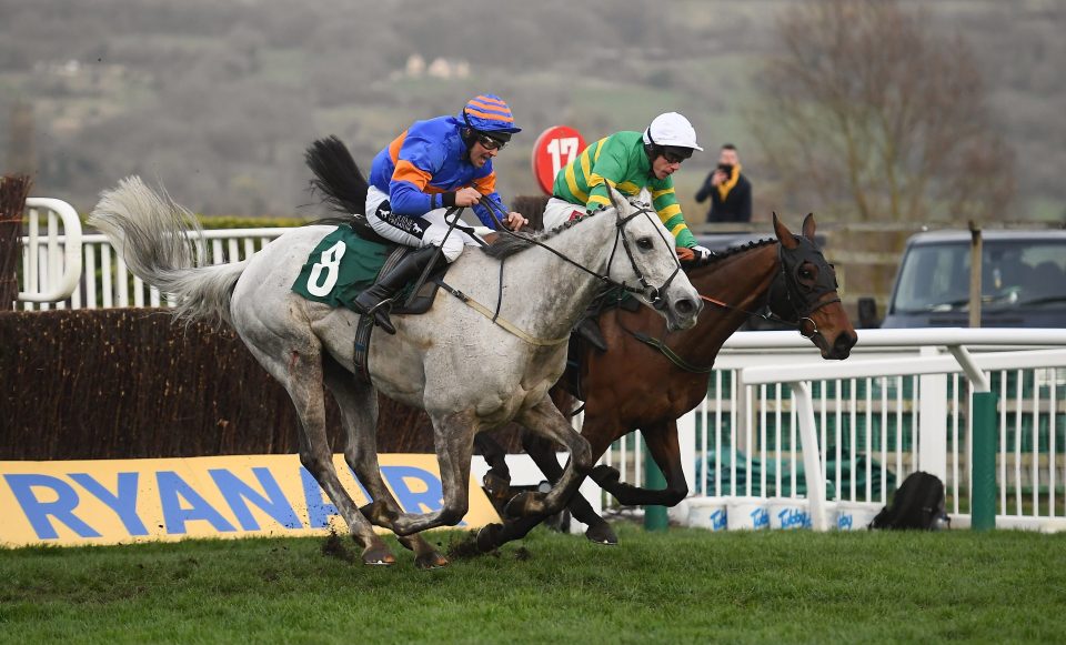 arkle challenge trophy sportsbooks 0018
