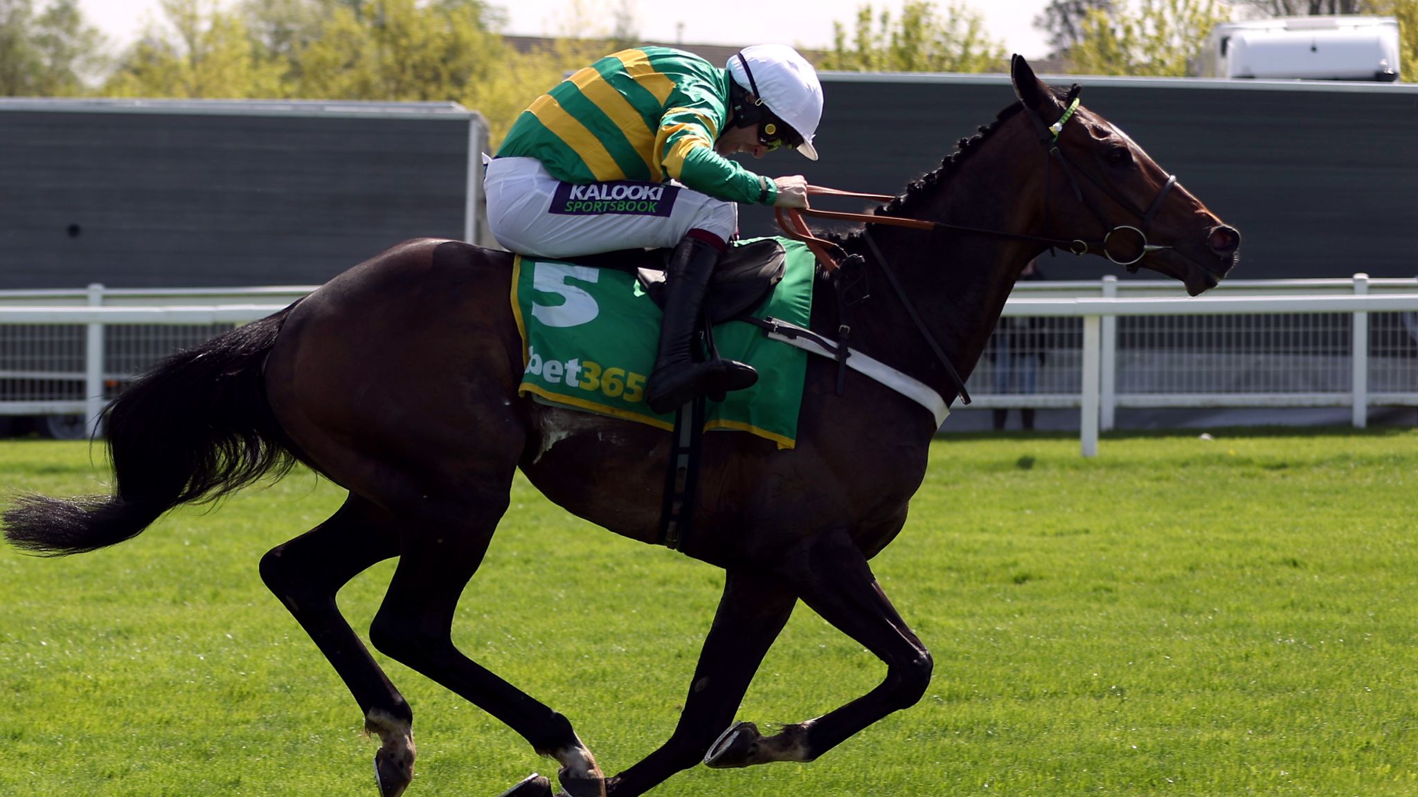 Arkle Trophy betting lines.