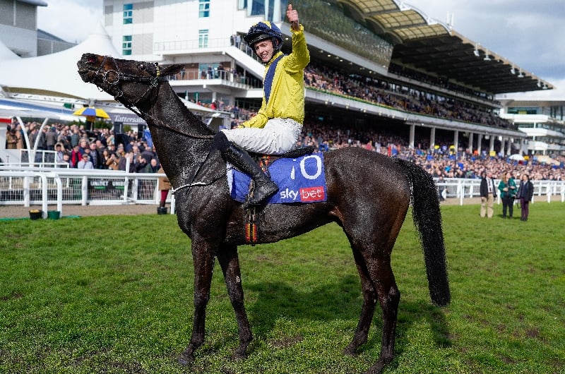 Arkle Trophy betting tips