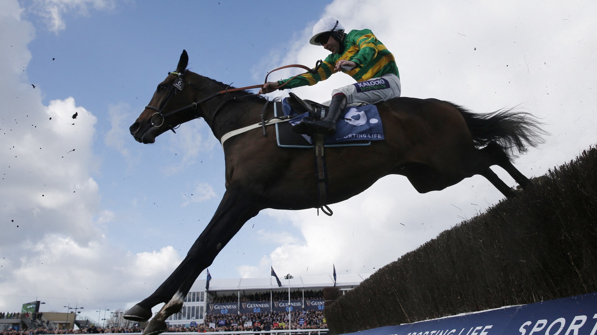 Arkle Trophy sportsbooks