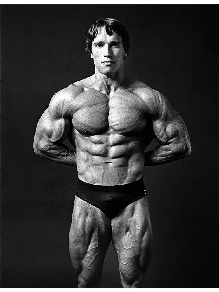 arnold schwarzenegger black and white 0011