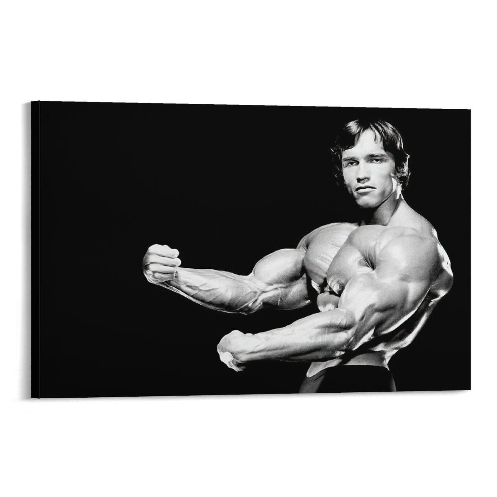 arnold schwarzenegger black and white 0021