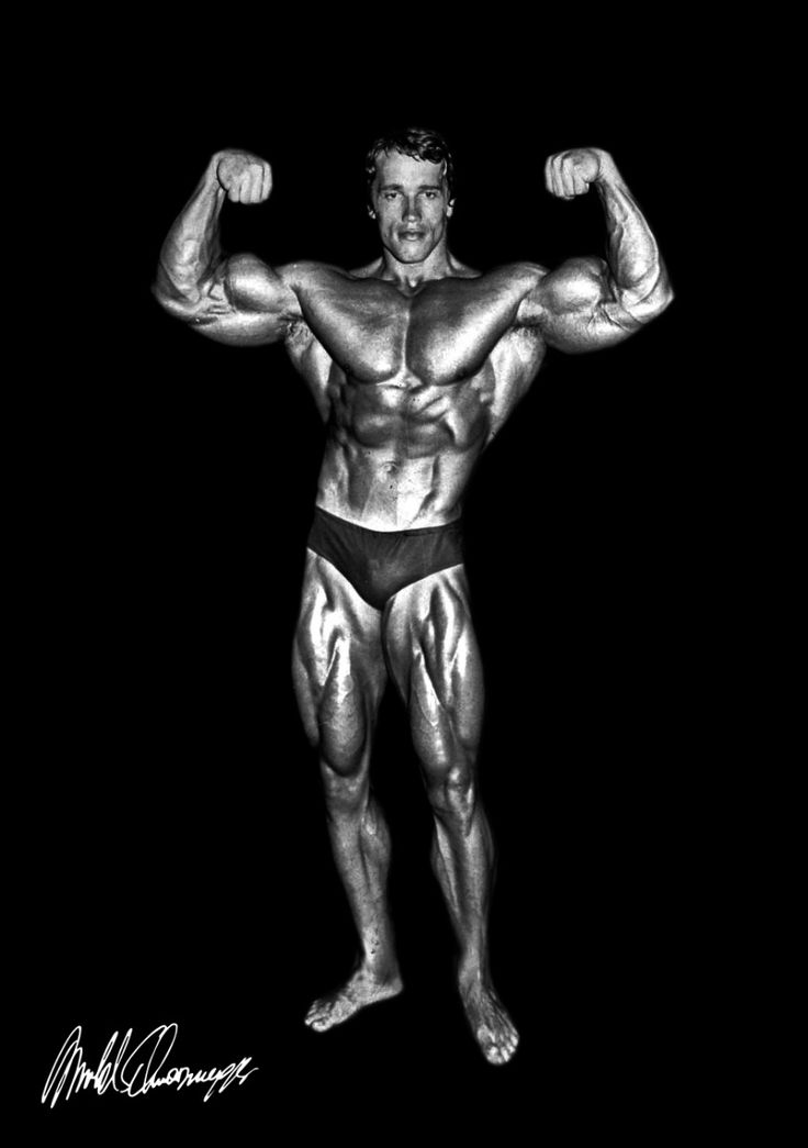 arnold schwarzenegger black and white 0033