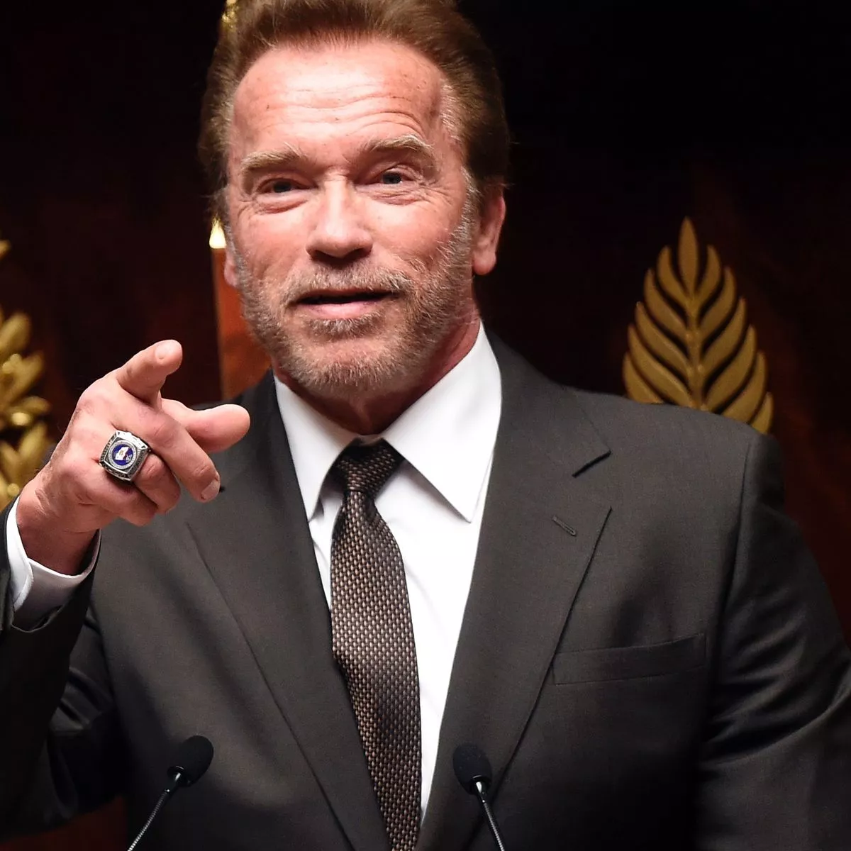 arnold schwarzenegger meet and greet 0023
