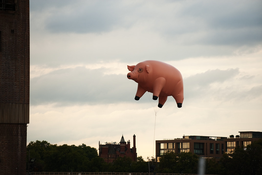 art pink floyd pig 0010