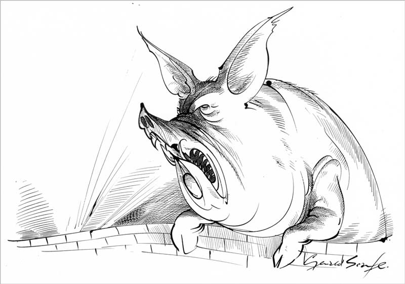 art pink floyd pig 0012