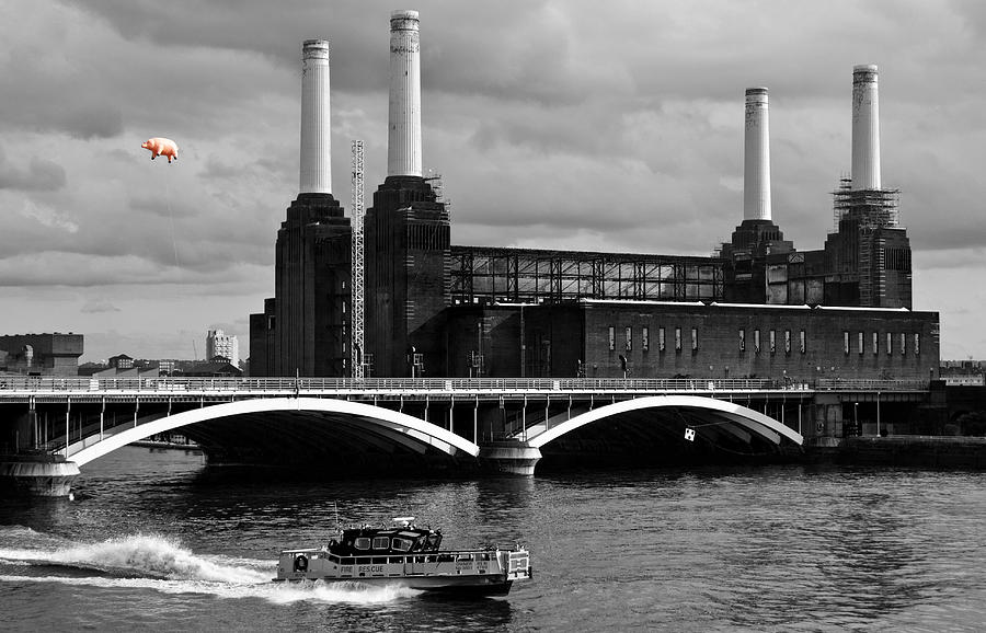 art pink floyd pig 0024