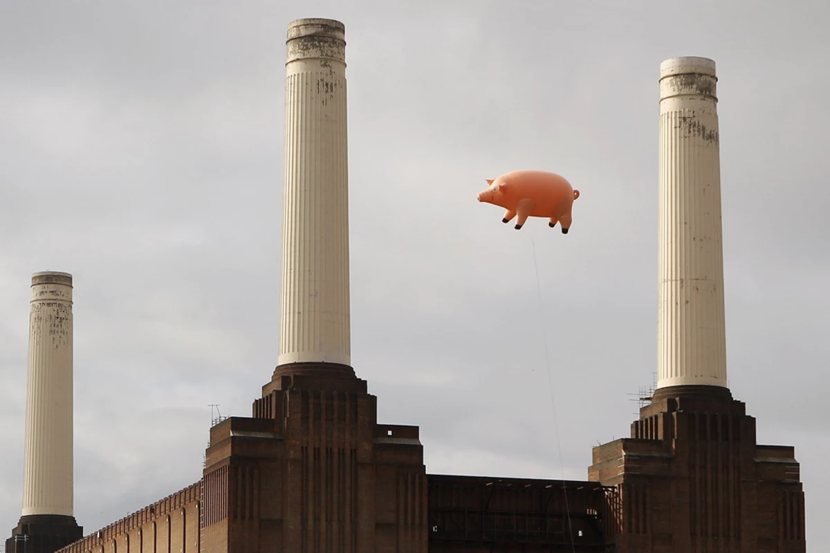 art pink floyd pig 0026