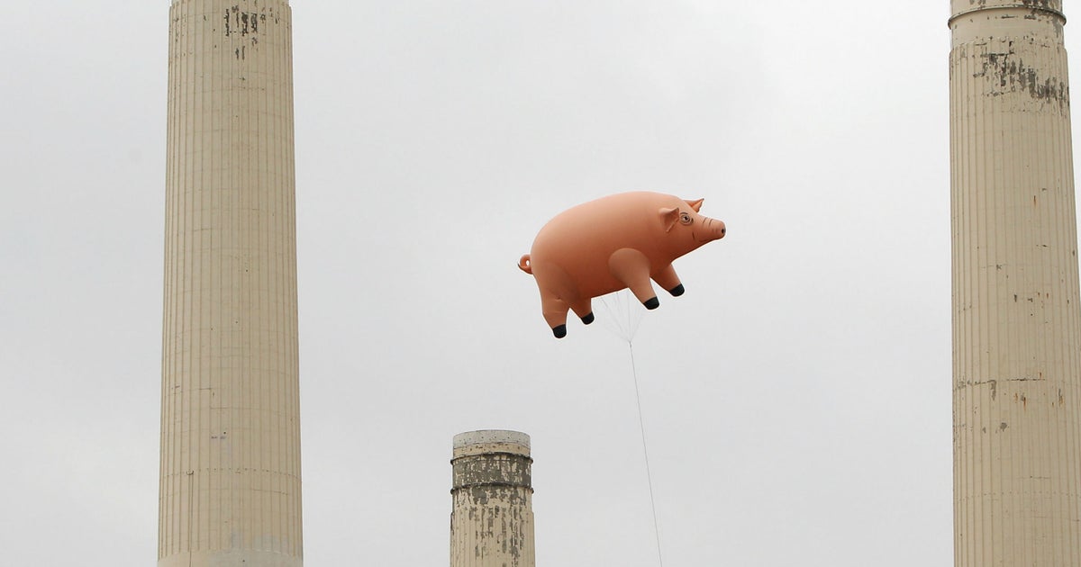 art pink floyd pig 0029
